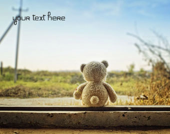 Alone Teddy Bear quote pictures