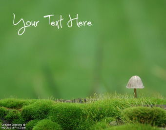 Beautiful Moss Life quote pictures