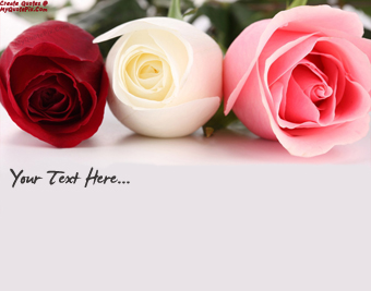 Beautiful Roses Pink White Red quote pictures