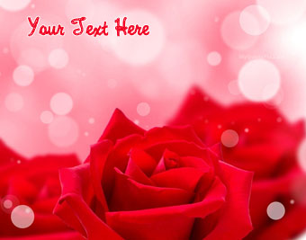 Red Rose Beauty quote pictures