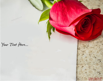 Write Wishes With Red Rose quote pictures