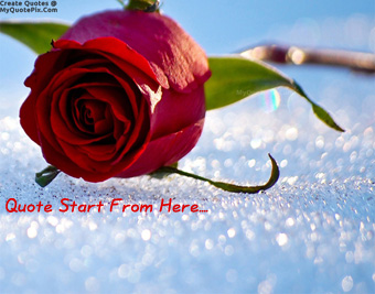 Snow Rose quote pictures